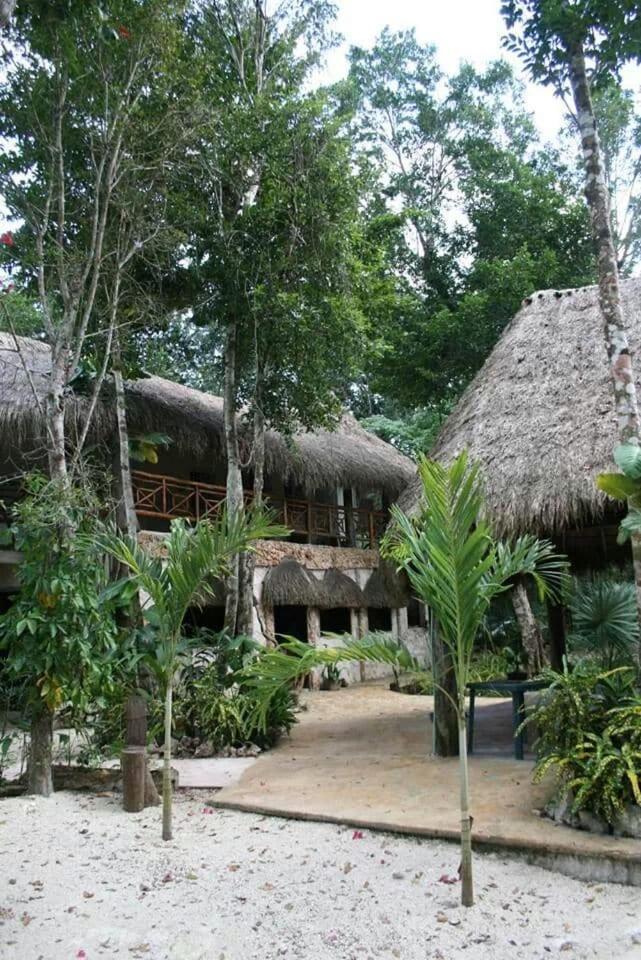 Zapote En Rancho Jaguares Jungle Retreat Camping *